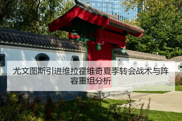 尤文图斯引进维拉霍维奇夏季转会战术与阵容重组分析